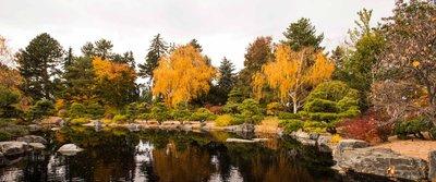 When Is the Best Time to Travel to Denver? | CityPASS® Blog
