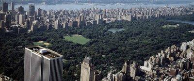 Fun Things to Do With Kids in New York (That Parents Will Enjoy, Too!)