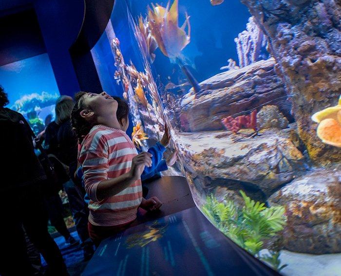 What Is the Best Time To Visit San Diego? | CityPASS® Blog