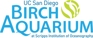Birch Aquarium at Scripps