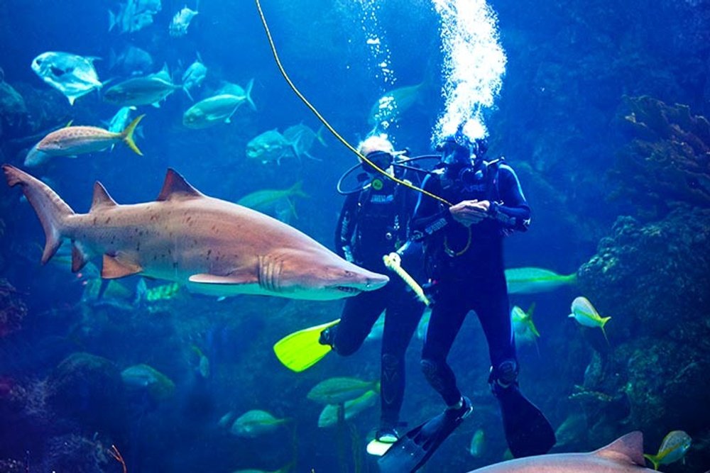 フロリダ水族館