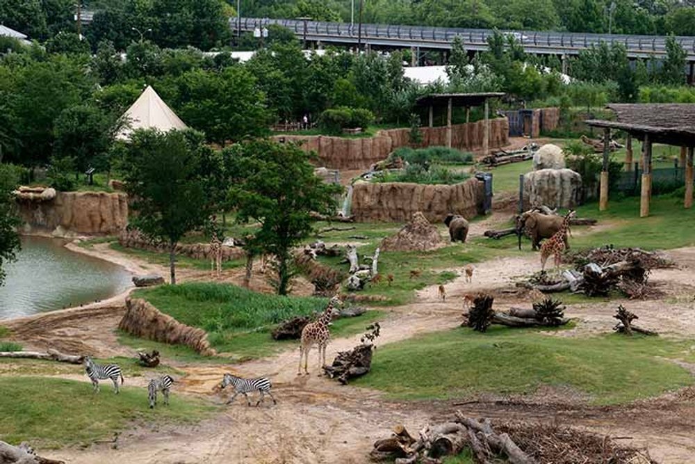 ダラス動物園