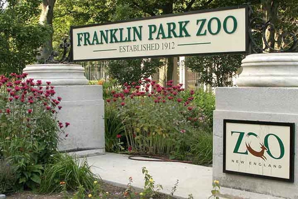 are dogs allowed at franklin park zoo