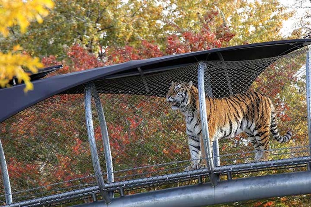 フィラデルフィア動物園