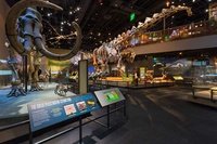 Perot Museum of Nature and Science Discount Admission Tickets Dallas CityPASS Attraction