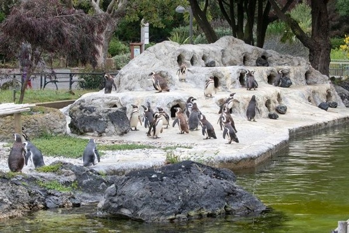 San Francisco Zoo